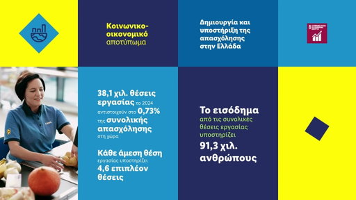 Socio-economic Impact Report 2024 | Lidl Hellas