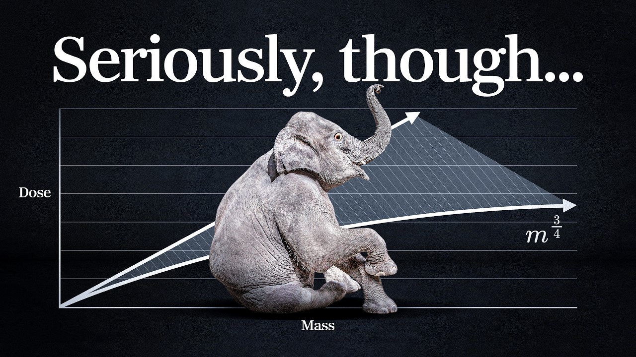 Why does every mammal get 1 billion heartbeats in their life?