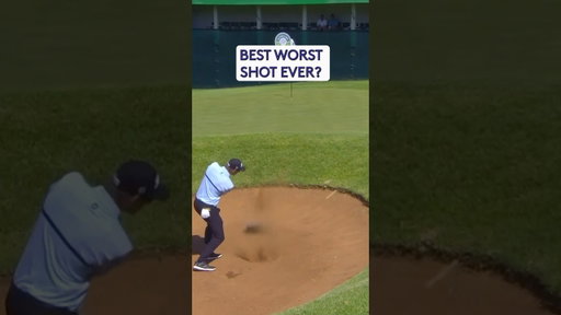 The best SHANK you’ve ever seen 😂