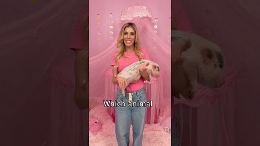 Which Animal Will She Chose?