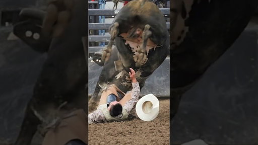 PFR Edge Bull Riding Wreck of the Week  #bullriding #rodeo