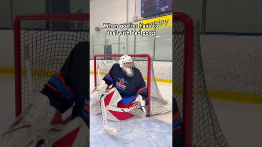 All Hockey Goalies Hate THIS