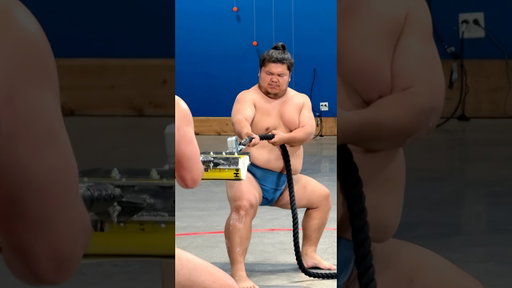 Sumo Wrestlers vs Phone Books