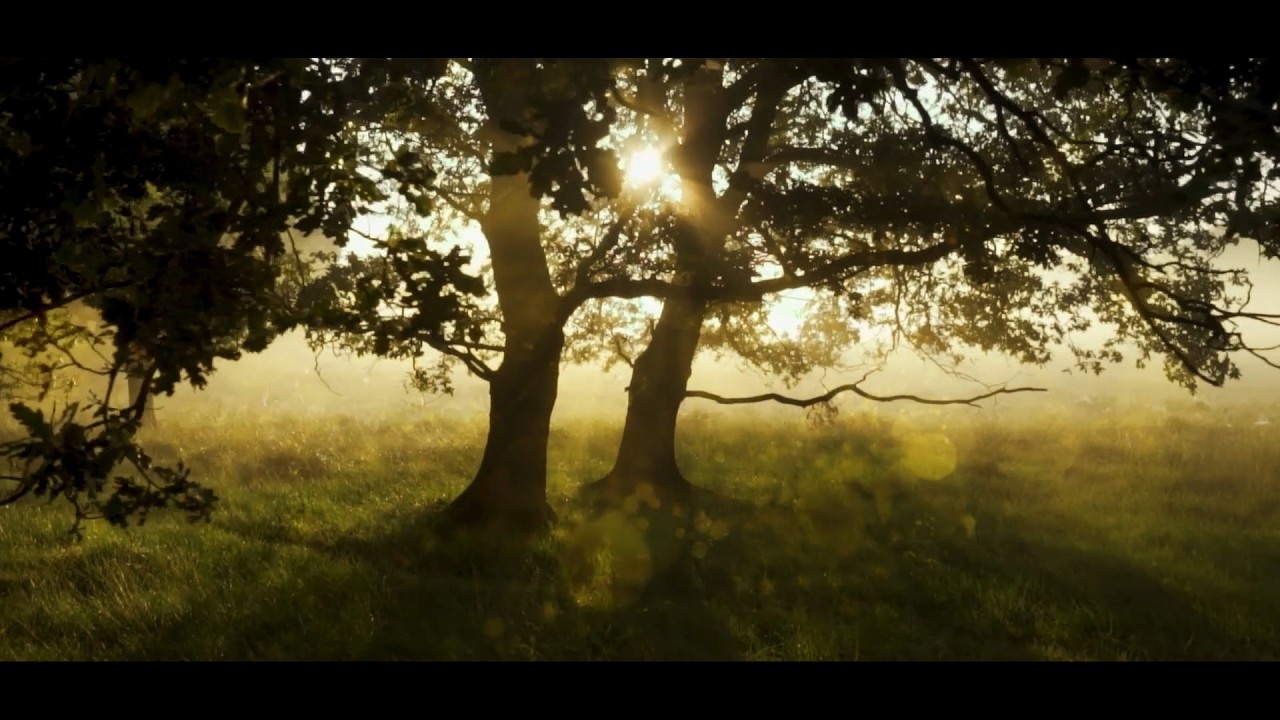 undertone | Relaxing Guided Meditation | A24