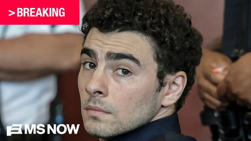 BREAKING: Luigi Mangione has pleaded GUILTY to federal stalking charges