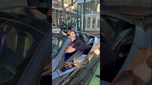 The most Karen Tesla driver 😭