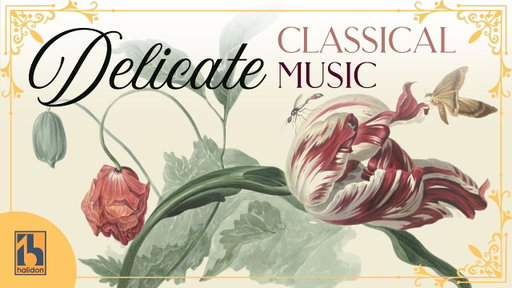 Delicate Classical Music | the Gentlest and Most Exquisite Masterpieces of All Time