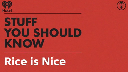 Rice is Nice | STUFF YOU SHOULD KNOW