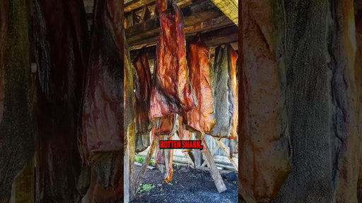 you won’t believe what he ate in Iceland 😳
