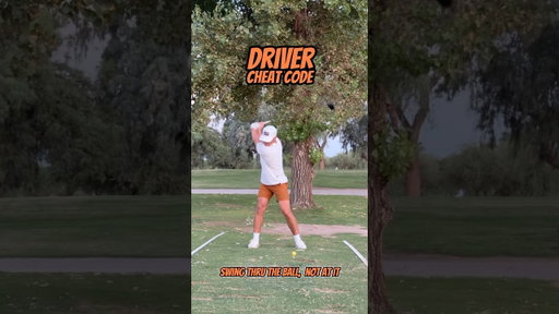 Driver Cheat Code