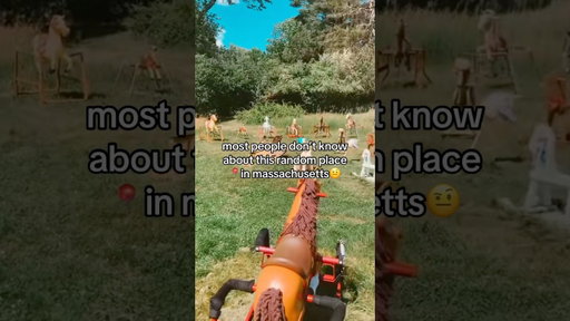 Surprised it has over 200 Google Reviews! 🐴👀🗺️ #ponyhenge #massachusetts #roadsideattraction