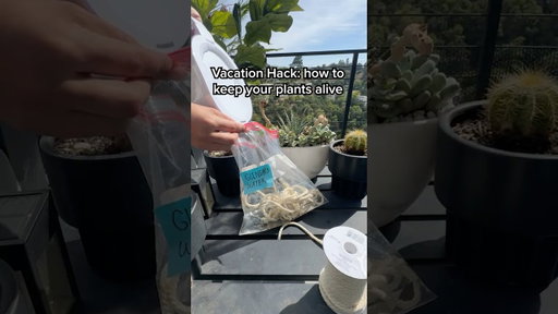 I STOPPED KILLING MY PLANTS WITH ONE SIMPLE HACK #shorts  #plants #hobbies  #hacks #tipsandtricks