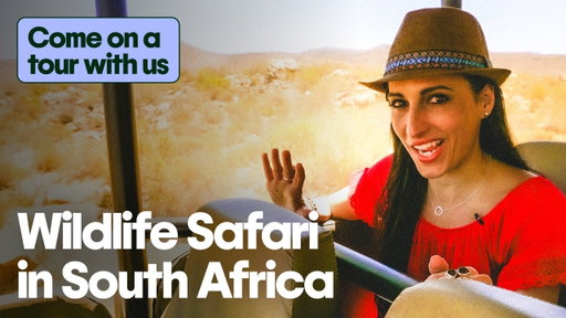 Spend the day with us: South Africa Wildlife Safari Tour