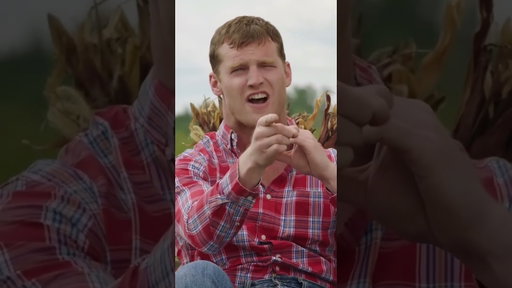 LETTERKENNY LIVE IS BACK!