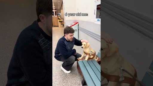 good boy #dog #relatable #shorts