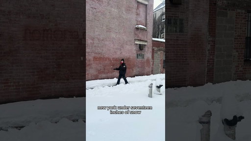 Status report on the snow in NYC #nycblizzard #nyc #tourguide