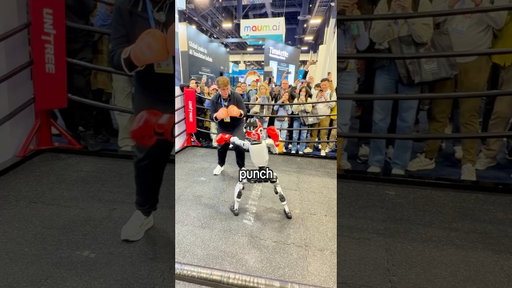 I Fought a Humanoid Robot at CES