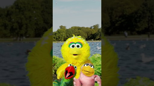 Baby Big Bird Sings La La La 🎵 #sesamestreet