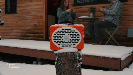 Turtlebox Audio | Winter