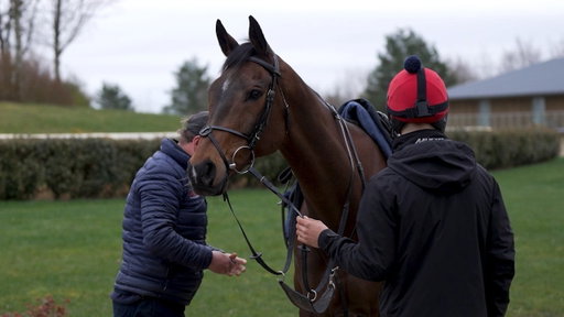 Twig & Beau Morgan | The Grand National Dream