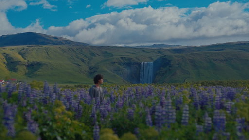 the wild country