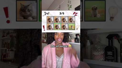 Say the animal on beat😭 #chelseaamadison