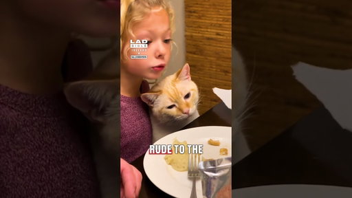 Kid defends her cat 👀😍