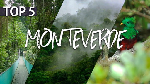 Top Things to Do in Monteverde, Costa Rica | Cloud Forest Wildlife & Luxury Adventures