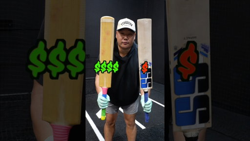 I Tested $1000 Cricket Bat