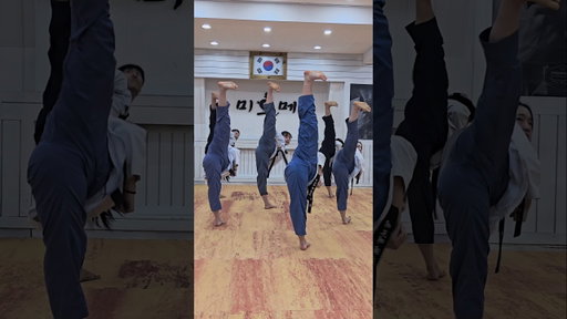 태권도 품새 절도 옆차기 #shorts