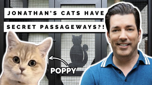 😻 Catio Goals: Jonathan Built the Most INSANE Cat Patio (Your Fur Baby Will Be Jealous) 😻
