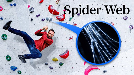 Is spider web really stronger than steel?