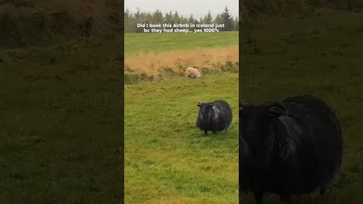 I Booked This Iceland Airbnb for the Sheep 😭🐑