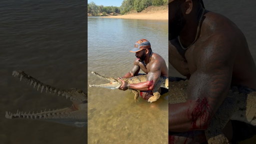 Comment your thoughts 💭 Catching a freshwater crocodile 🐊 #shorts #animals #crocodile #australia