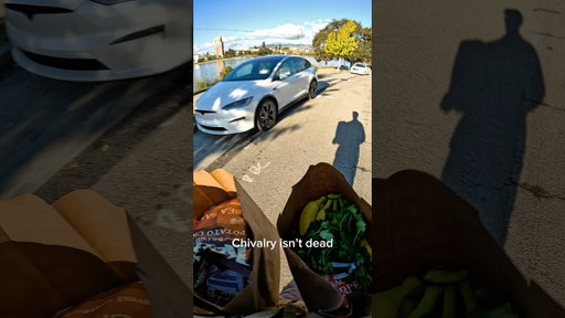 Model X opens the door for you