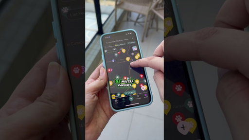Seu cachorro ignora até suas dancinhas de TikTok?