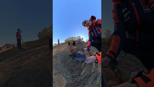 #gopro  start practice  @juniorcoenen #frenchbulldog  #motocross #dirtbike