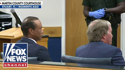 BREAKING: Tiger Woods reaches plea deal in DUI case