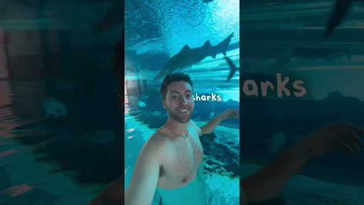 Not… this Vegas. 👀 PART 2!! #VegasPartner #travel #vegas