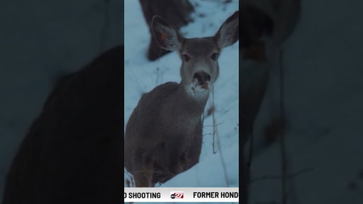 Deer hunter accidentally shot in Pennsylvania