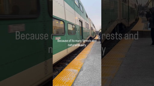 Go Trains Green Colour will Surprise you
