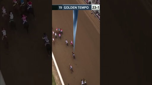 Golden Tempo definitely had the zoomies 🙂‍↕️ #kentuckyderby #derbywinner #emotional #winner #zoomie