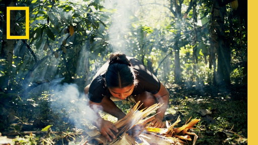 Travel to Costa Rica & Experience Pura Vida | National Geographic