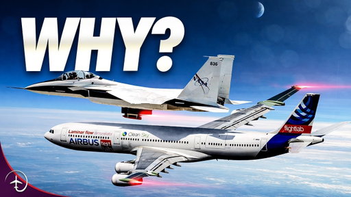 Why DON’T We Use This Revolutionary Wing?