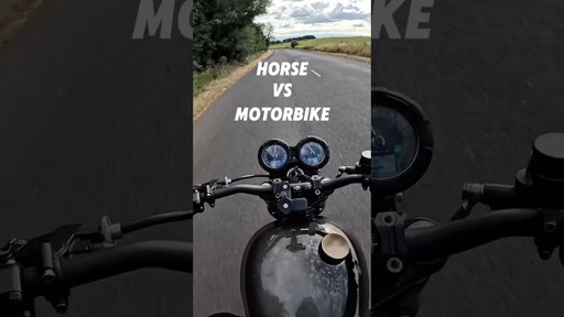 I went on a side quest and rode a horse #harveyridesbikes #horse