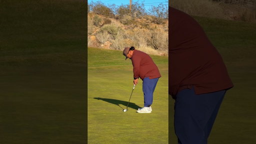 🚨ALBATROSS🚨 #malosigolf #golf #golfswing