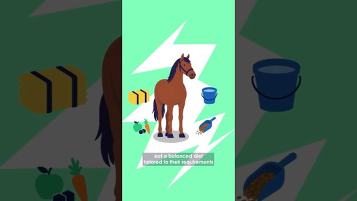 The Horse