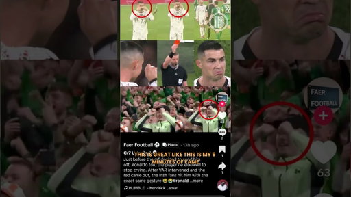 We interviewed the Ireland fan who made the crying face to Ronaldo