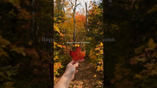 FALL IS HERE! #fallishere #fallismyfavorite #autumnvibes #fallvibes #fallaesthetic #autumnaesthetic
