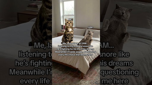 Marriage at 2AM 🐱